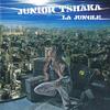 Cover for La Jungle by Junior Tshaka